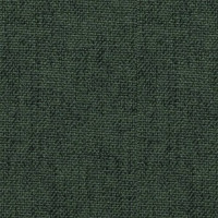 Kenya forest 