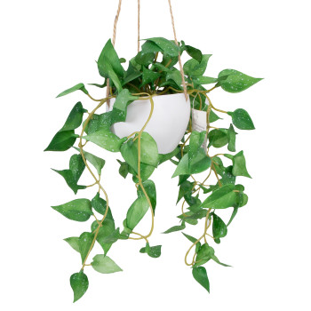 Mākslīgais augs GREENLANDE podiņā, piekārts, Zelta- Mākslīgais augs GREENLANDE podiņā, piekārts, Zelta-