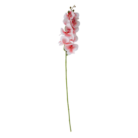 Orhideja FLOWERLY H94cm, gaiši rozā