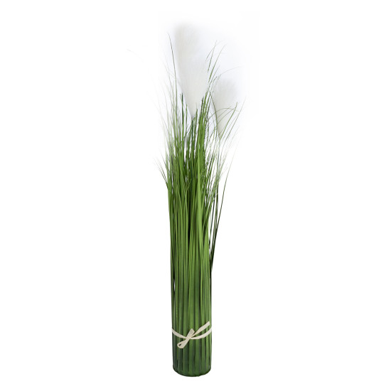 Zāles salmiņi GREENLAND H65cm, pušķi