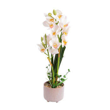 Orchid GARDEN QUEEN H70cm, balts Orchid GARDEN QUEEN H70cm, balts