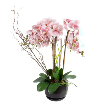 Orchid GARDEN QUEEN H68cm, gaiši rozā Orchid GARDEN QUEEN H68cm, gaiši rozā