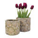 Puķu poda vāks CHIARA D14.5xH13.2cm Puķu poda vāks CHIARA D14.5xH13.2cm