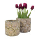 Puķu poda vāks CHIARA D16.7xH14.7cm Puķu poda vāks CHIARA D16.7xH14.7cm
