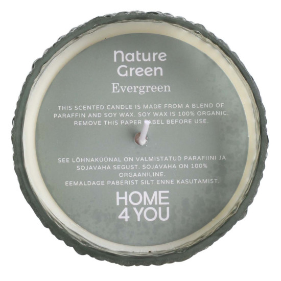 Svece NATURE GREEN H9cm, Evergreen