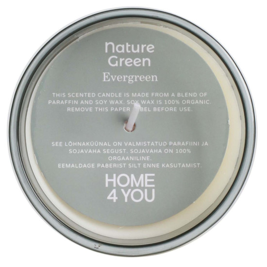 Svece NATURE GREEN H9.5cm, Evergreen Svece NATURE GREEN H9.5cm, Evergreen