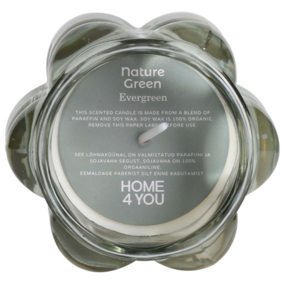 Svece NATURE GREEN H9,2cm, Evergreen
