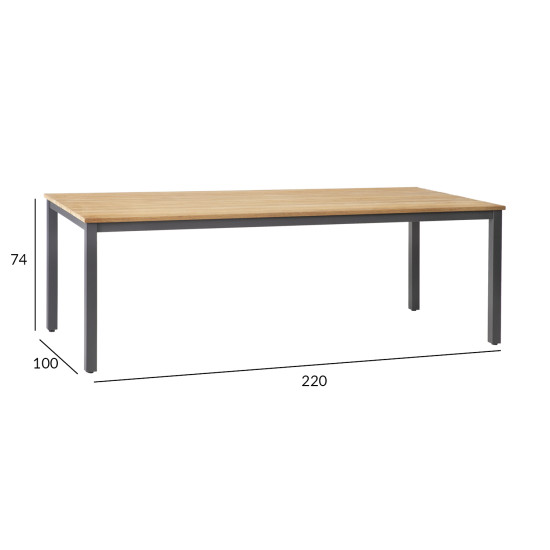 Galds MONTANA 220x100xH74cm, tīkkoks