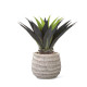 Puķupods PALM D29xH26cm, bēšs