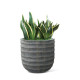 Puķupods PALM D33xH31cm, pelēks Puķupods PALM D33xH31cm, pelēks