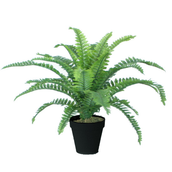 Mākslīgs augs BOSTON FERN H45cm, papardes zieds, melns puķupods