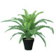 Mākslīgs augs BOSTON FERN H45cm, papardes zieds, melns puķupods