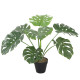 Mākslīgs augs MONSTERA H60cm, melns puķupods