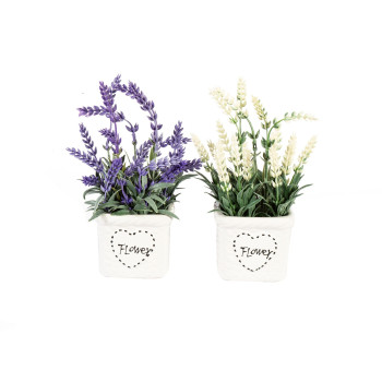 Zaļš augs IN GARDEN H22cm, lavanda, balts pods 8x8cm Zaļš augs IN GARDEN H22cm, lavanda, balts pods 8x8cm