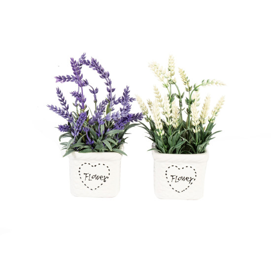 Zaļš augs IN GARDEN H22cm, lavanda, balts pods 8x8cm Zaļš augs IN GARDEN H22cm, lavanda, balts pods 8x8cm