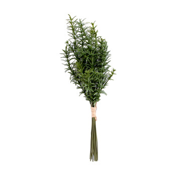Rozmarīns 10gab / saišķis IN GARDEN, H30cm Rozmarīns 10gab / saišķis IN GARDEN, H30cm