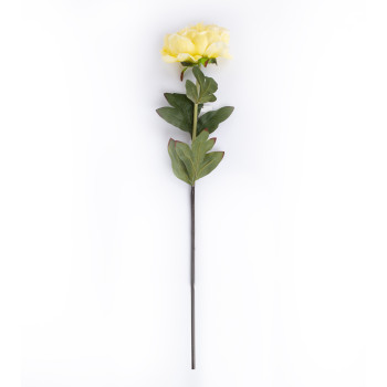 Peonija IN GARDEN, H74cm, dzeltena Peonija IN GARDEN, H74cm, dzeltena