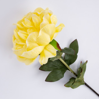 Peonija IN GARDEN, H74cm, dzeltena Peonija IN GARDEN, H74cm, dzeltena