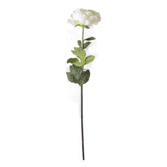 Peonija IN GARDEN, H74cm, balts Peonija IN GARDEN, H74cm, balts