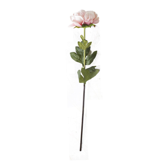 Peonija IN GARDEN, H74cm, rozā Peonija IN GARDEN, H74cm, rozā