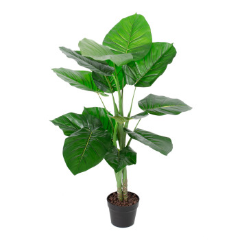 Zaļš augs POTHOS, H90cm Zaļš augs POTHOS, H90cm