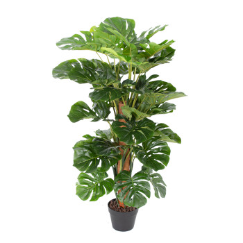 Zaļš augs MONSTERA, H105cm Zaļš augs MONSTERA, H105cm