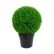 Zaļš augs BOXWOOD, H60cm, melns pods Zaļš augs BOXWOOD, H60cm, melns pods
