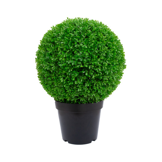 Zaļš augs BOXWOOD, H60cm, melns pods Zaļš augs BOXWOOD, H60cm, melns pods