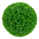 Zaļš augs BOXWOOD, H60cm, melns pods Zaļš augs BOXWOOD, H60cm, melns pods